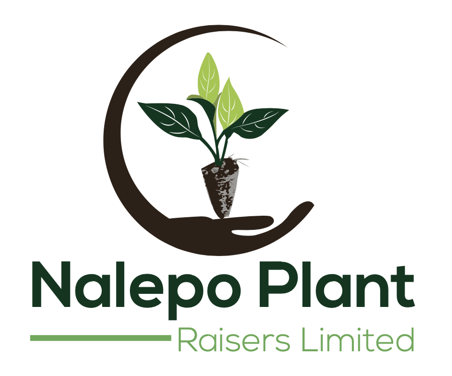Nalepo logo